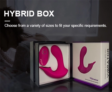 What is the function of the Hybrid Box?